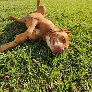 Meet your Posher, Cassandra